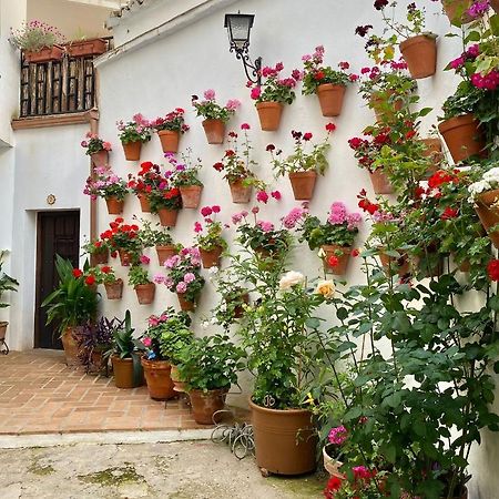 Amal Casa De Huespedes Apartment Cordoba Ngoại thất bức ảnh