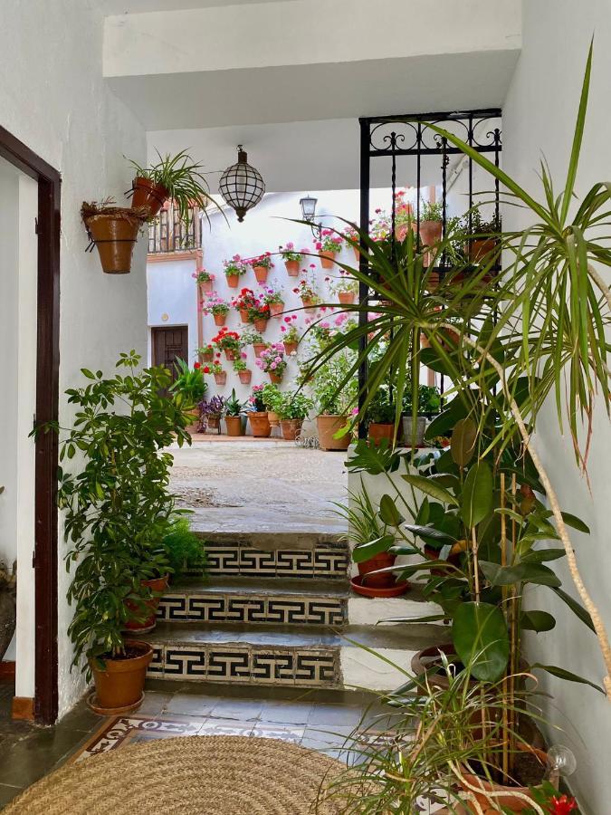 Amal Casa De Huespedes Apartment Cordoba Ngoại thất bức ảnh