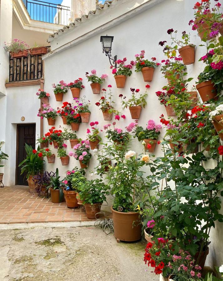 Amal Casa De Huespedes Apartment Cordoba Ngoại thất bức ảnh
