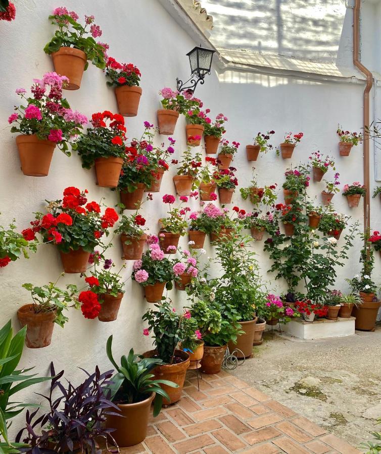 Amal Casa De Huespedes Apartment Cordoba Ngoại thất bức ảnh